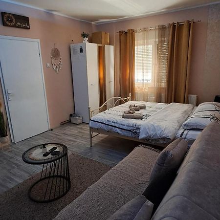 Apartman Iva Zaječar 外观 照片